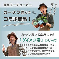 第一ビニール 多肉マンション 観葉/多肉植物用ゲージ 4968438026015 1箱(10個入)（直送品）