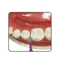 デイリー 歯間ブラシ I字型 キャップ付 携帯用 L 太め 20本入 1個 エビス