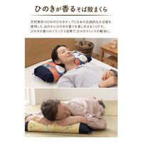 AQUA ひのきの香りのそば殻まくら (NT) 猫ざんまい 寿司柄 300×620mm 20360022 1個（直送品）