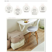 AQUA mofua(モフア)イブル マルチケース (衣類・布団収納ケース) 36520013 1枚（直送品）