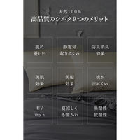 AQUA Silk Collection シルク100% 枕カバー 430×630mm ダークグレー 56800039 1枚（直送品）