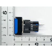 共立電子産業 照光式プッシュスイッチ 長方形 モーメンタリ 青色 12V 65-9235-04 1個（直送品）
