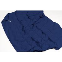 アズワン おもいブランケット 65-4351-24 1枚（直送品）