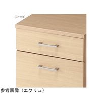 アズワン ワゴンキャビネット エクリュ 65-8883-71 1台（直送品）