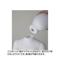 アズワン リアルマネキン ベビー 65-8873-81 1体（直送品）