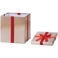 アズワン プレゼントボックス【クリスマスツリー装飾】ゴールド 3個セット 65-8117-15 1セット(3個)（直送品）