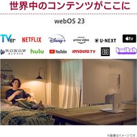 LG Electronics Japan 31.5インチ フルHDスマートモニター 32SR50F-W 1個（直送品）