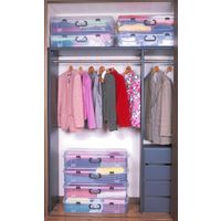 平和工業 クローズケースワイド クリア 4907556166173 1セット(2個)