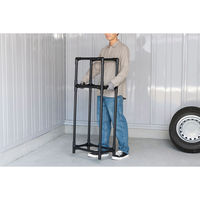 アイリスオーヤマ 省スペースタイヤラック普通車用 STH-472 1セット