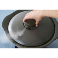 アイリスオーヤマ 無加水鍋 24cm チャコールグレー MKS-24 1台