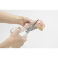 貝印 キッチンバサミ セパレートタイプ DH8004 1本