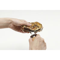 貝印 KK カキ・ハマグリナイフ DH8199 1本（直送品）