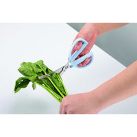 貝印 カーブキッチンバサミ FG5207 1本