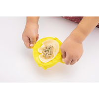 貝印 はさんでできるぎょうざ型 FG5215 1個（直送品）