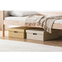 アイリスオーヤマ 段ボール収納ケース 2枚セット幅37×奥行49cm ホワイト DB-490 1セット（2枚入り）