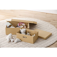 アイリスオーヤマ 段ボール収納ケース 2枚セット幅37×奥行25cm クラフト DB-250 1セット（2枚入り）