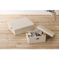 アイリスオーヤマ 段ボール収納ケース 2枚セット幅37×奥行25cm ホワイト DB-250 5セット（10枚入り）