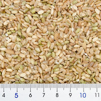 ペッズイシバシ クオリス　青米　２８０ｇ 268817 1個（直送品）