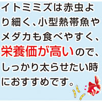 キョーリン ビタクリンイトミミズ 100g 291450 1個（直送品）