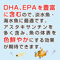 キョーリン ビタクリンコペポーダ　５０ｇ　１枚 291451 1個（直送品）