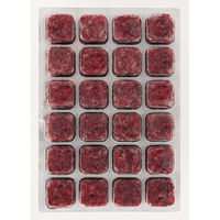 キョーリン エコクリンアカムシ 100g 1枚 295128 1個（直送品）