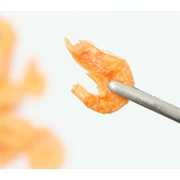 (株)リーフ Leaf Corp 大粒クリル　「ｆｆ　ｎｕｍ２９」　５００ｇ 930092 1個（直送品）