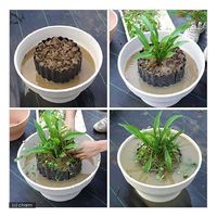 チャーム あぜなみ 高さ30cm×全長180cm 51214 1個（直送品）