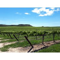 フランス　ガストン キュヴェプレステージ　白ワイン　やや辛口 750ml 1本　国分