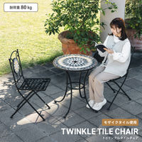 武田コーポレーション トゥインクルタイルチェアー TIR8-CBK 1箱(2脚入)（直送品）