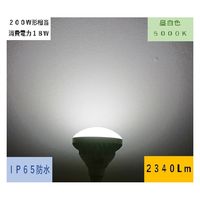 東京メタル工業 屋外用レフランプ型LED LDR18N200-TM 1個