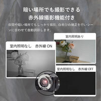 サイエルインターナショナル 赤外線機能付きハンディカメラ SLI-IHC30C 1個