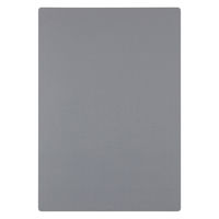 レイメイ藤井 大人の魔法のザラザラ下じき A4 グレー U1255N 1枚