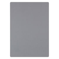 レイメイ藤井 大人の魔法のザラザラ下じき B5 グレー U1256N 1枚