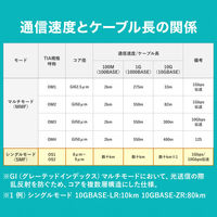 サンワサプライ メガネ型光ファイバケーブル（シングル8.6μm、LC×2-LC×2、15m） HKB-LCLC1-15N 1本（直送品）