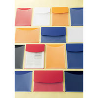 ライオン事務器 ホルダーファイル〈ビジカル〉 フタ付 A4S PH-13BF ブルー(青) 13771 1冊