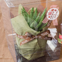 ヘッズ フォーユーブラウングログランリボン-1 FYB-GR1 1巻