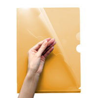 プラス SW仕切り付H 3P 111CH OR FL-111CH 1枚