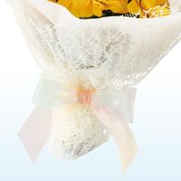 ヘッズ レインボーオーガンジーリボン-1 RAB-R1 1巻