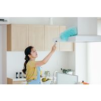 山崎産業 2989.jp+ ムーンダスターFーEX ホコリ払い 静電払い ハタキ 1本