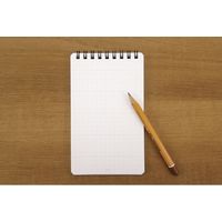 デザインフィル ダイヤメモ Lサイズ 方眼罫 青 11733006 1冊