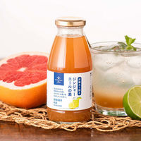 久世福商店 ジンジャーエールの素（炭酸水で割る）290ml 3本 サンクゼール