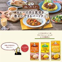 カレーパートナー バター香るターメリックライスの素 1個 ハウス食品