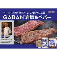 GABAN岩塩＆ペパー袋入り 20g 1個 ハウス食品 塩コショー ファスナー付き ギャバン