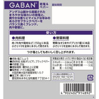 GABAN岩塩＆ペパー袋入り 20g 3個 ハウス食品 塩コショー ファスナー付き ギャバン