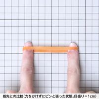 【輪ゴム】 共和 オーバンド透明袋 50g GJA-N-013 #215 アメ 1袋