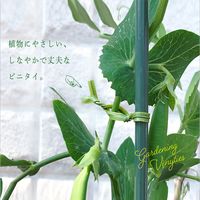 【ビニタイ】 共和 PVC園芸用ビニタイ ハンディカッター付 オリーブドラブ（コチョウラン用） QC-038-109 1巻