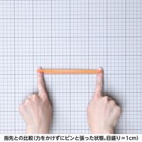 【輪ゴム】 共和 オーバンド透明袋 50g GPA-N-017 #470 アメ 1袋