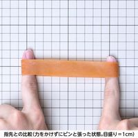 【輪ゴム】 共和 オーバンド透明袋 50g GLA-N-009 #30 アメ 1セット（3袋）