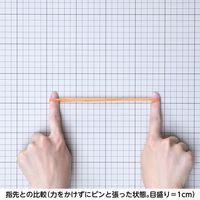 【輪ゴム】 共和 オーバンド透明袋 50g GPA-N-001 #460 アメ 1セット（3袋）