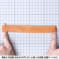 【輪ゴム】 共和 オーバンド透明袋 50g GPA-N-009 #45 アメ 1セット（3袋）